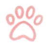 🐱