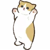 💃