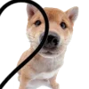 🐕