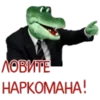 🐊
