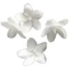🌸