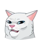 😾