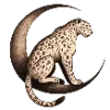 🐆