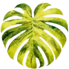 🍀