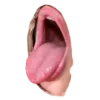👅