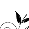 🔀