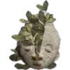 🌿