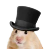 🎩