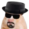 🥸