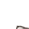 ⭐