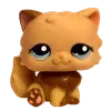 🌟