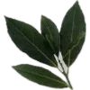 🌿