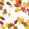🍂