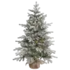 🌲