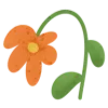🌼