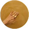 ⚜️