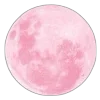 🌕
