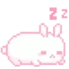 🐰