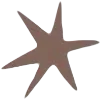 ⭐️