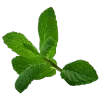 🌿