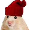 🐹