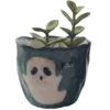 🪴