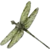 🦋