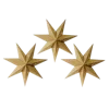 🌟