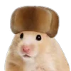 🐹