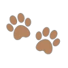 🐾