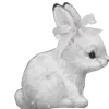 🐇