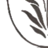 🌺