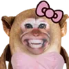 🐵