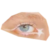 👁