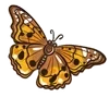 🦋