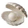 🐚