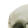 👁