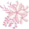 🌸