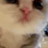 😱