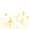 ✨