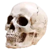 💀