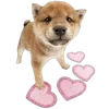🌟