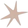 ⭐️