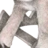 ⭐