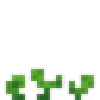 🌱