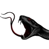 🩸