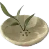 🪴