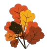 🍂