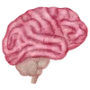 🧠