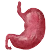 🫀